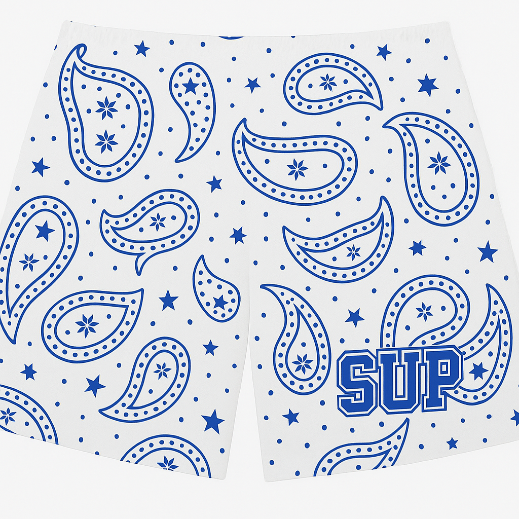 Blue White Paisley