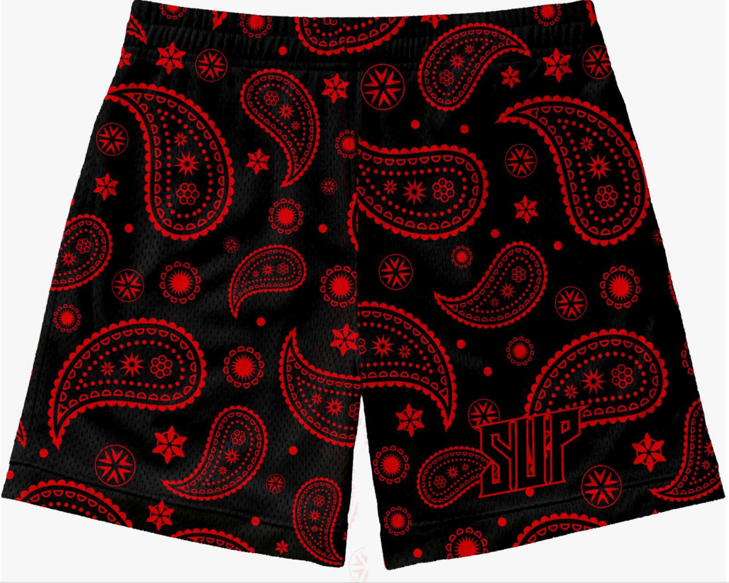 Black and Red Paisley