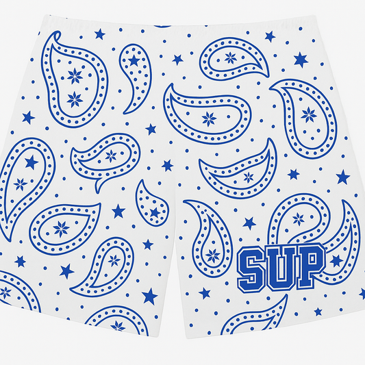 Blue White Paisley