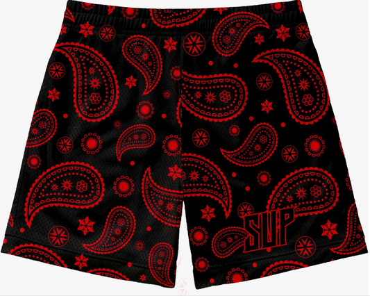 Black and Red Paisley